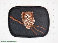 Click to enlarge Owl